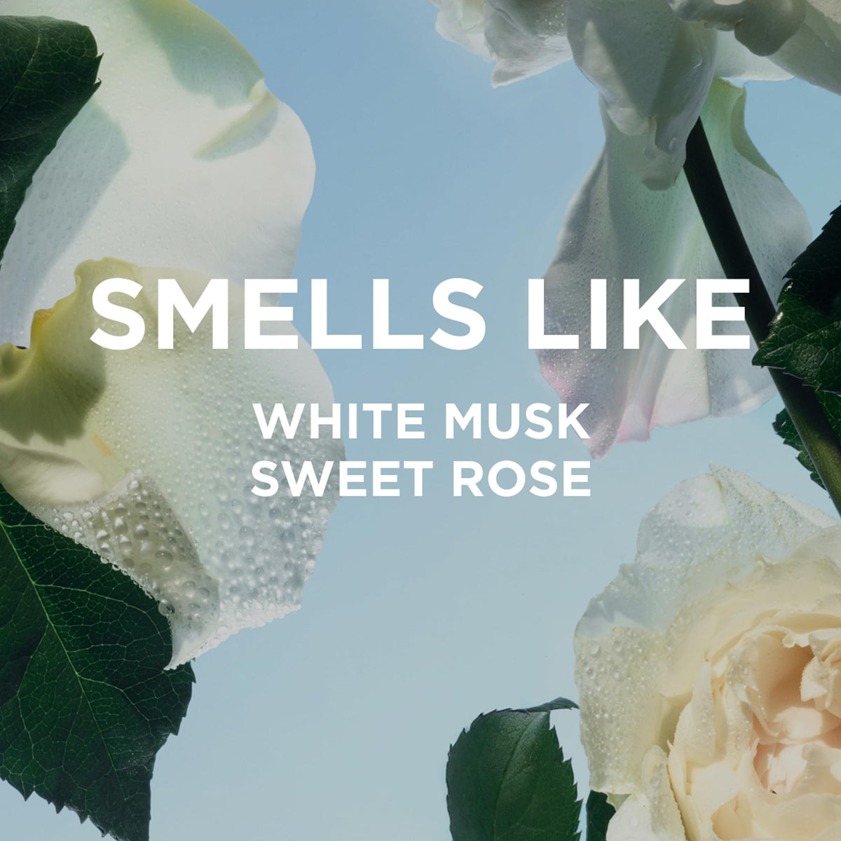 By Rosie Jane Travel Perfume Spray (Rosie) - Clean Perfume for Women - Non-Toxic Body Mist with Notes of White Musk & Sweet Rose - Paraben, Sulfate & Phthalate Free (10ml)